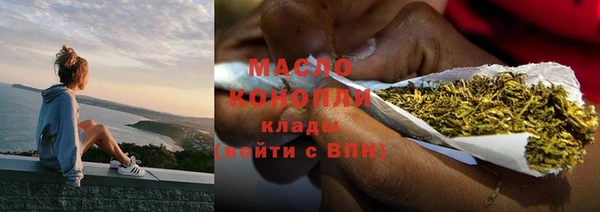 сатива Армянск