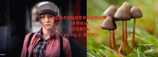 сатива Армянск