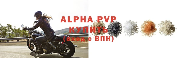 шишки Арсеньев