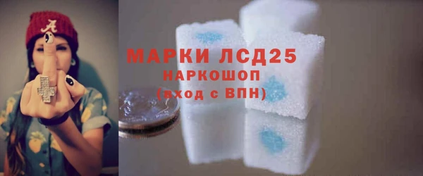 шишки Арсеньев
