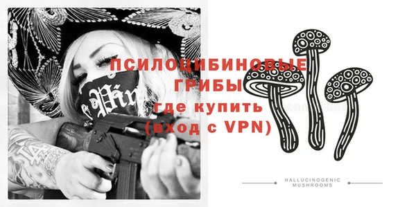 сатива Армянск