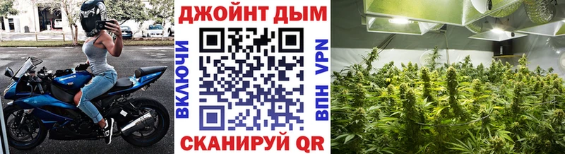купить наркоту  Исилькуль  Бошки марихуана SATIVA & INDICA 